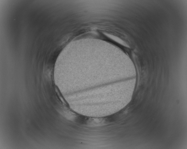 X0000080730329200701121917