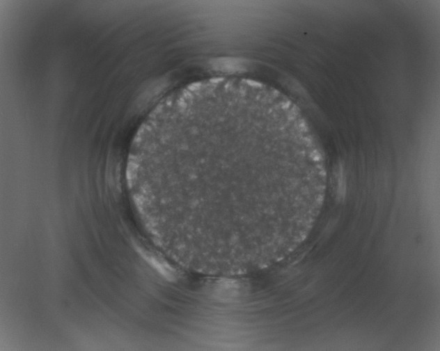 X0000080730330200701121917