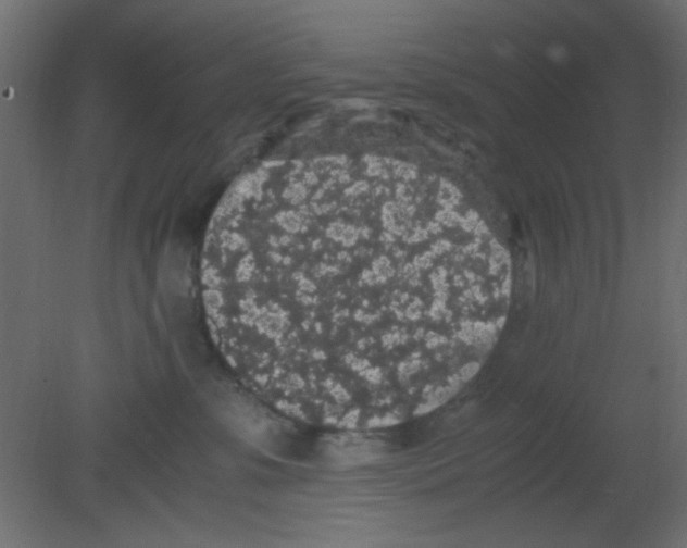 X0000080730331200701121917