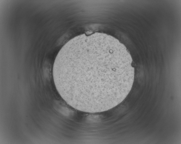 X0000080730332200701121917