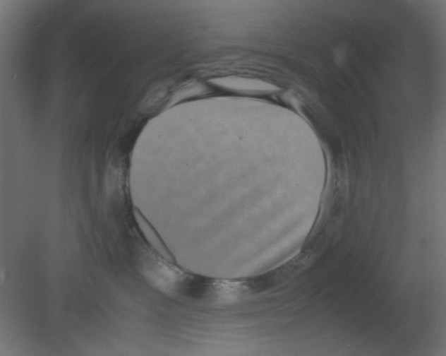 X0000080730333200701121917