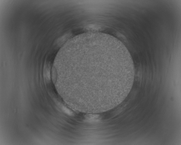 X0000080730334200701121917