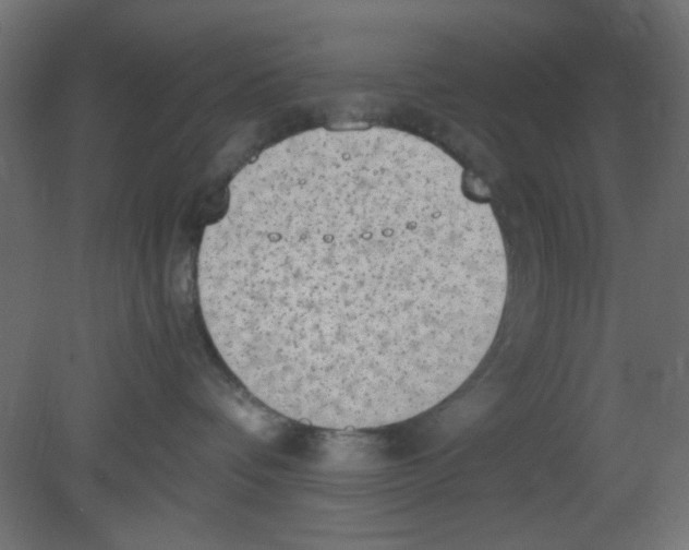 X0000080730336200701121917