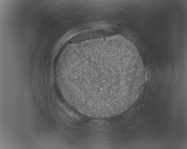 X0000080730339200701121916