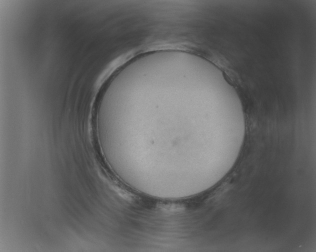 X0000080730340200701121916