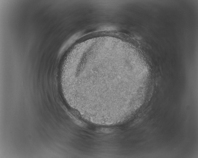 X0000080730341200701121916