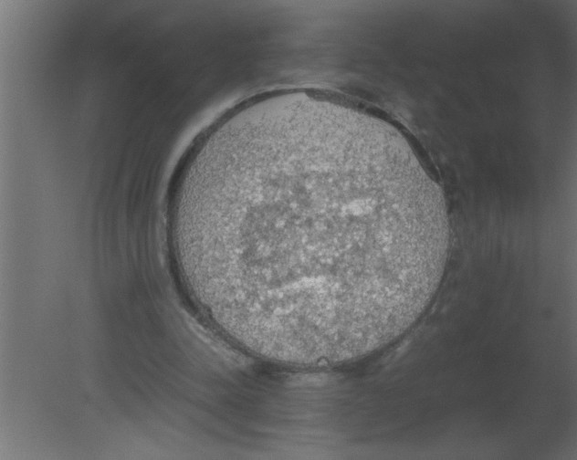 X0000080730342200701121916