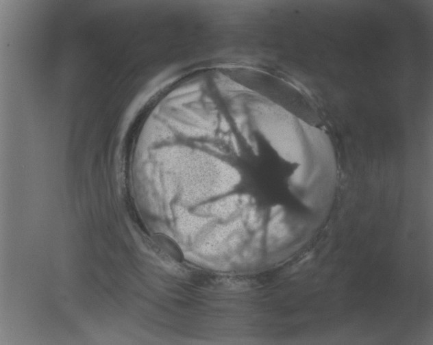 X0000080730343200701121916