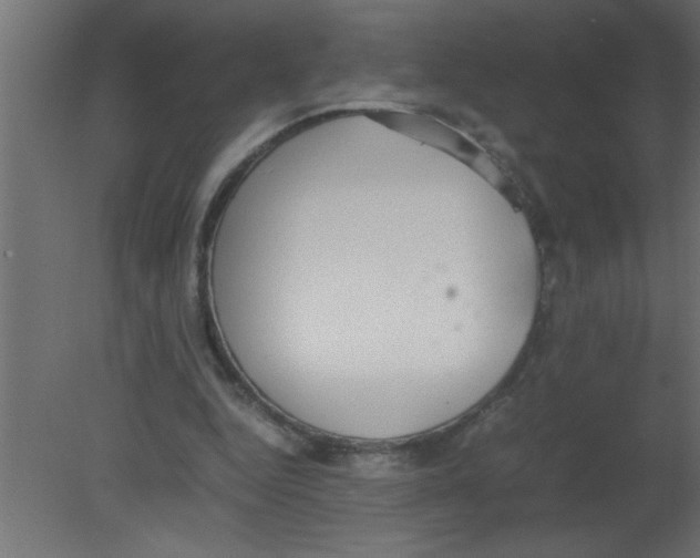 X0000080730344200701121916