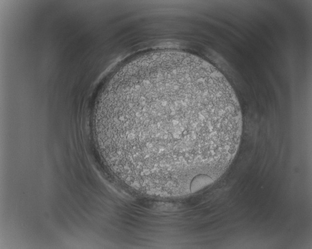 X0000080730347200701121916