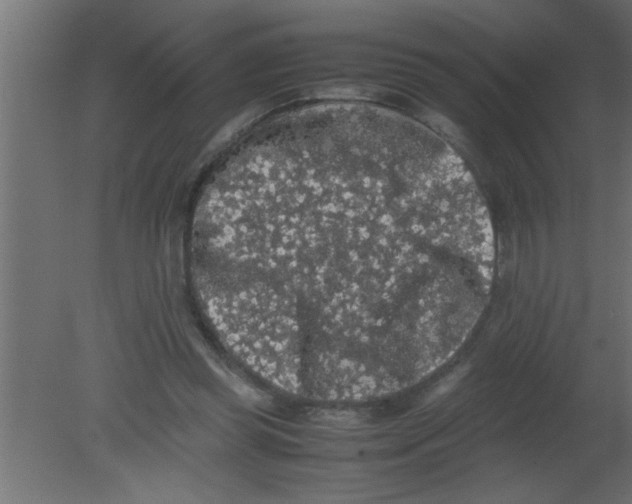 X0000080730349200701121916