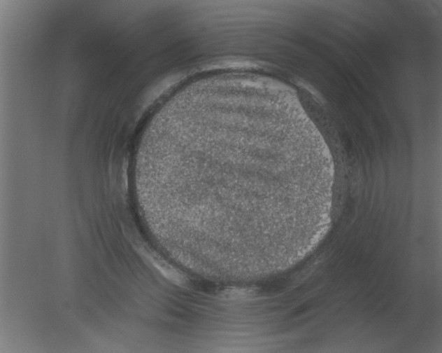 X0000080730350200701121916