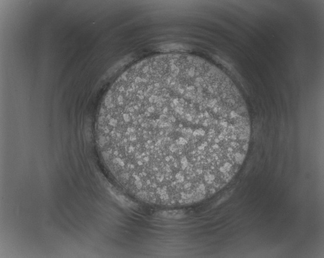 X0000080730353200701121916