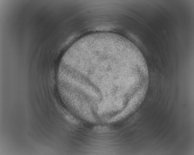 X0000080730354200701121916