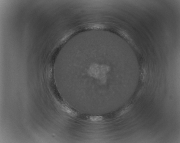 X0000080730355200701121916