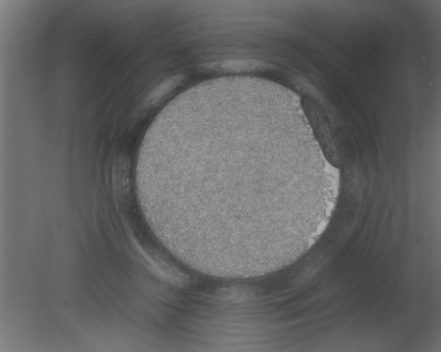 X0000080730356200701121916