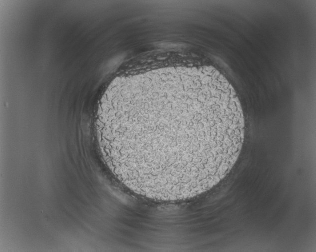 X0000080730357200701121916