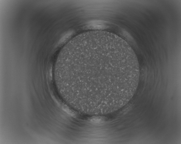 X0000080730358200701121916