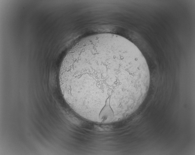 X0000080730359200701121916