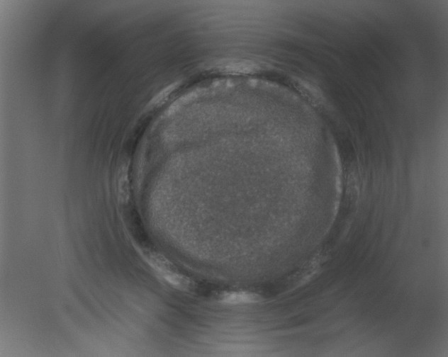 X0000080730360200701121916