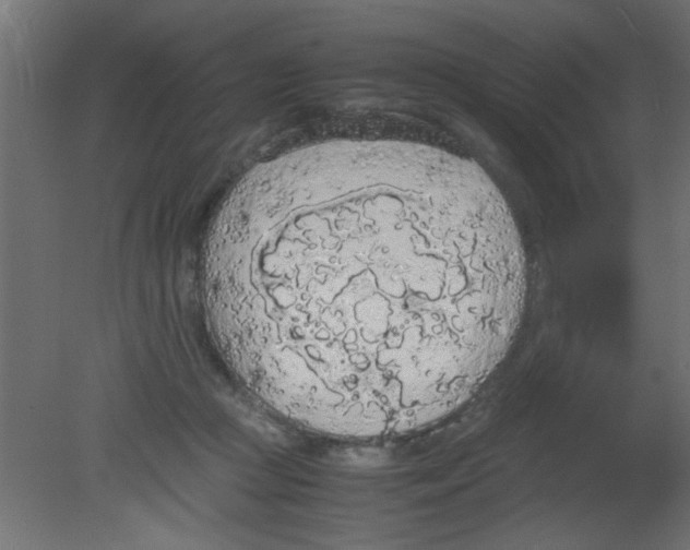 X0000080730361200701121916