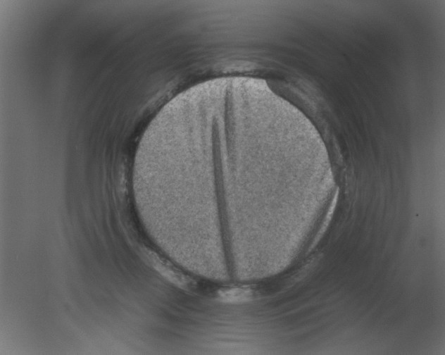 X0000080730362200701121916