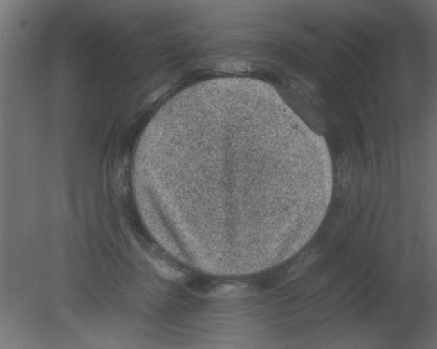 X0000080730364200701121916