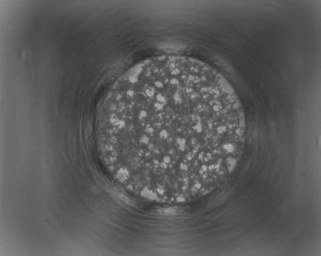 X0000080730365200701121916