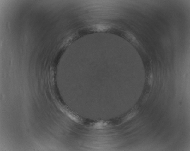 X0000080730366200701121916