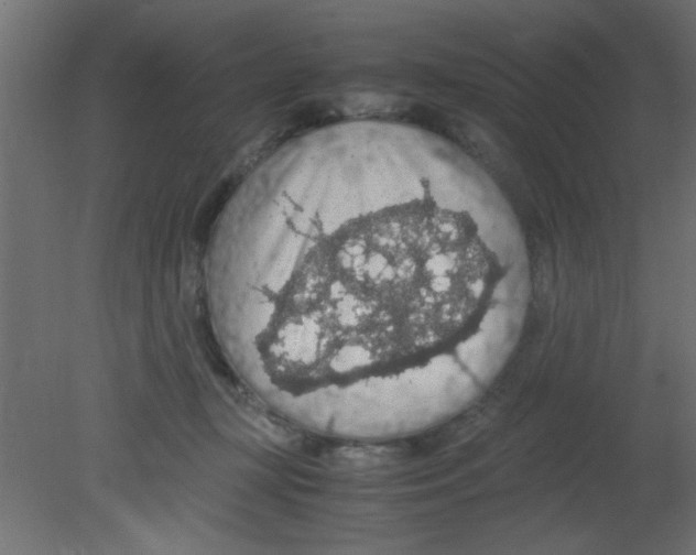 X0000080730367200701121916