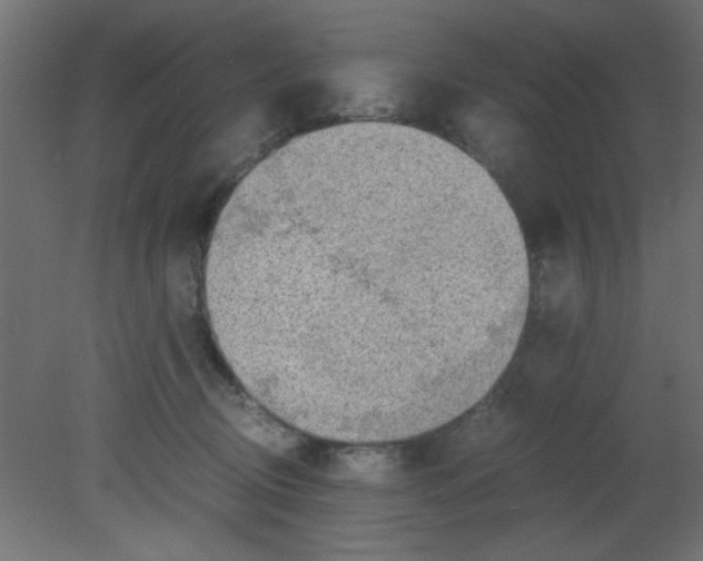 X0000080730370200701121917