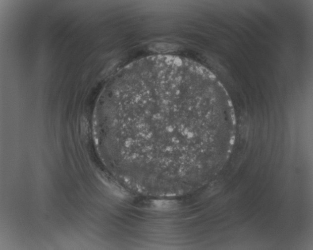 X0000080730371200701121917