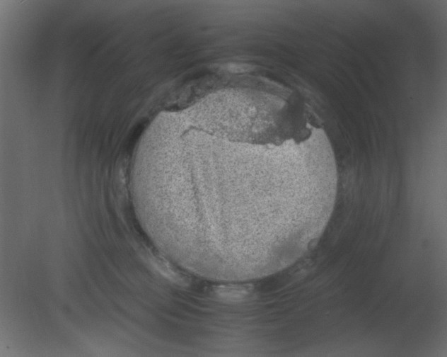 X0000080730373200701121917