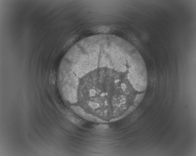 X0000080730374200701121917