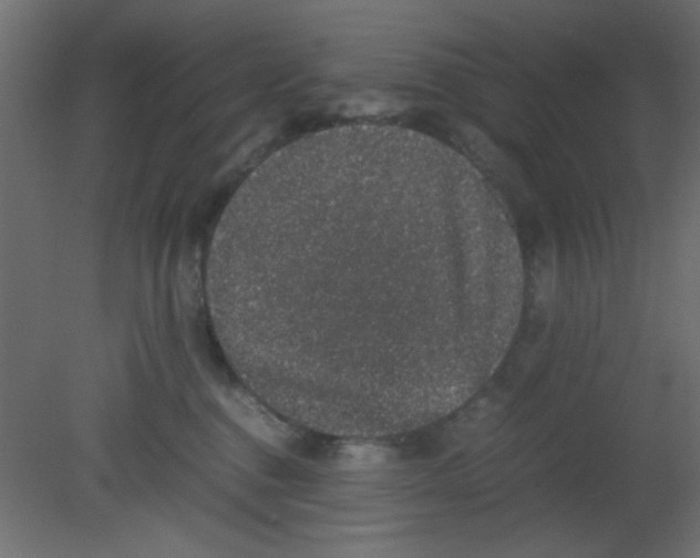 X0000080730376200701121917