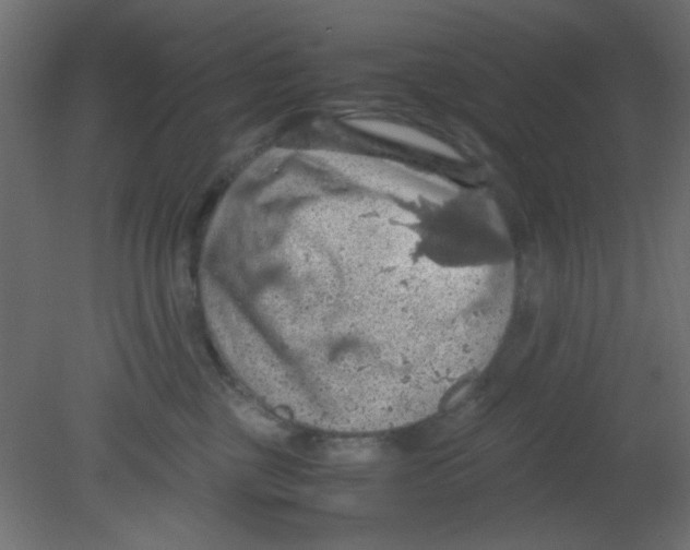 X0000080730377200701121917