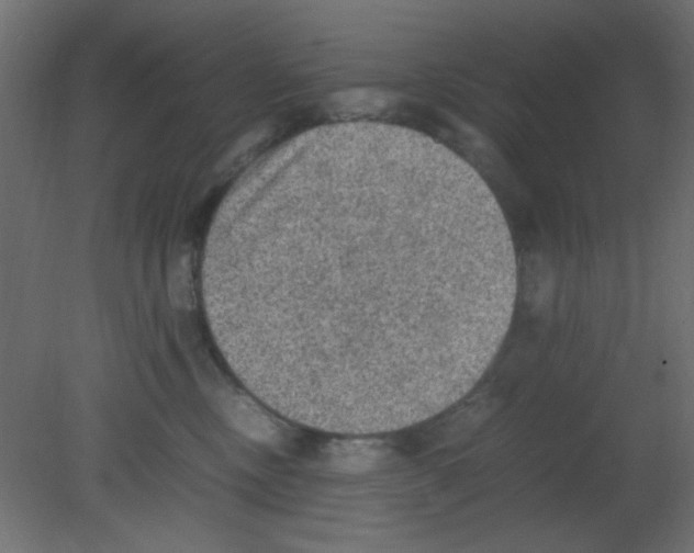 X0000080730378200701121917