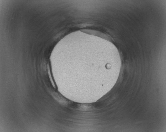 X0000080730380200701121917