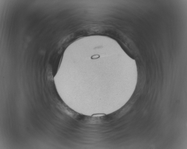 X0000080730384200701121917