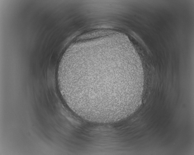 X0000080730386200701121916