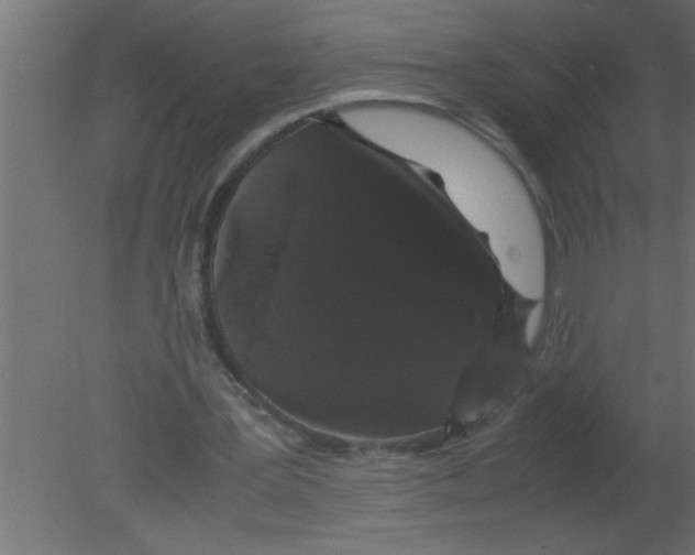 X0000080730387200701121916