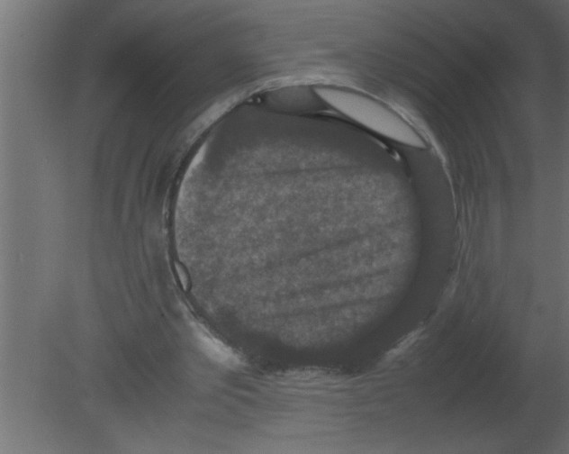 X0000080730389200701121916