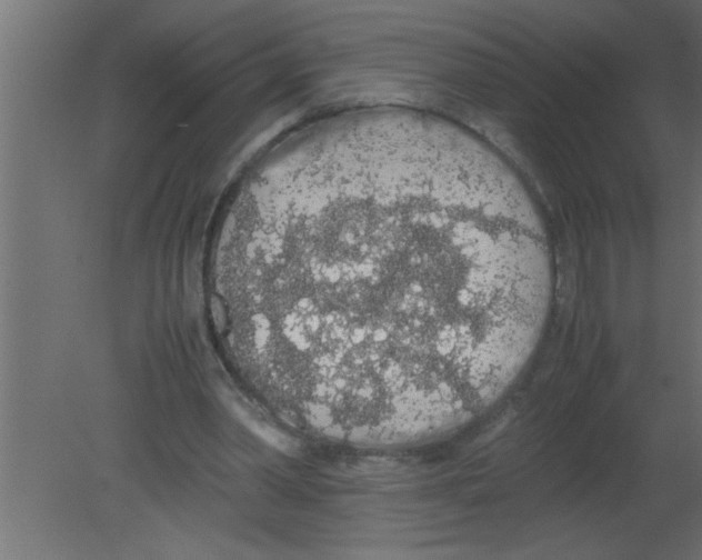 X0000080730390200701121916