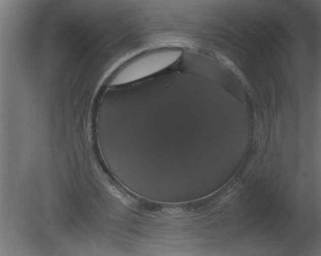 X0000080730391200701121916