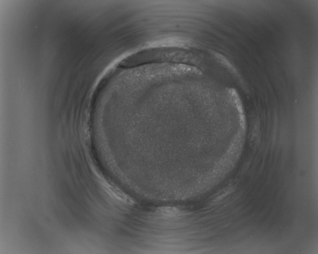 X0000080730392200701121916