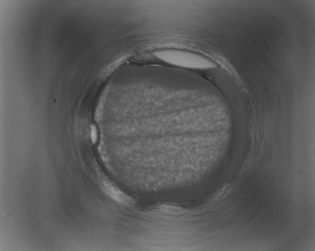 X0000080730393200701121916