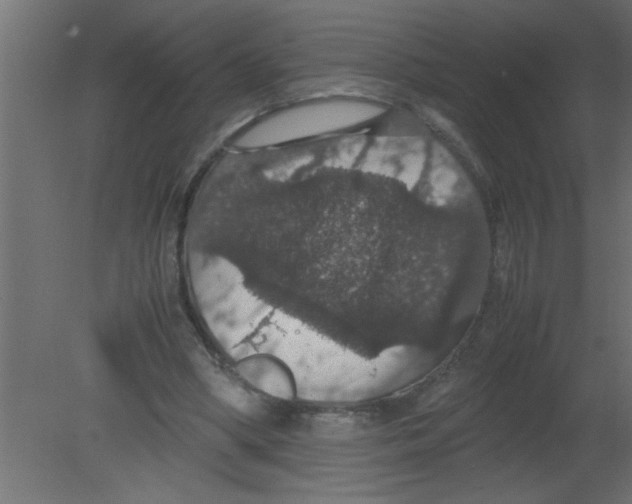 X0000080730394200701121916