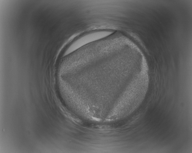 X0000080730395200701121916