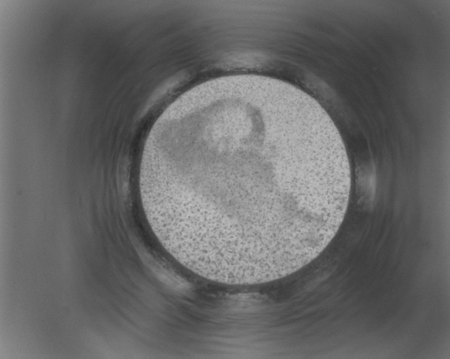 X0000080730396200701121916