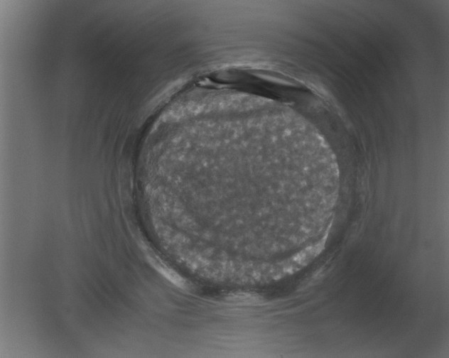 X0000080730397200701121916